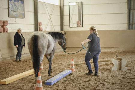 bodenarbeit_therapeut_1_skaliert